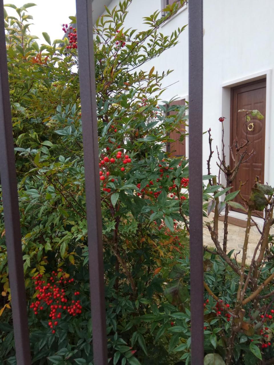 La Siesta Hotel Villafranca di Verona Exterior photo